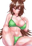  1girl absurdres animal_ears bikini breasts brown_hair collarbone commentary_request green_bikini hagesan3345 hair_between_eyes highres horse_ears horse_girl horse_tail large_breasts long_hair looking_at_viewer navel red_eyes simple_background sirius_symboli_(umamusume) sitting solo stomach swimsuit tail thighs umamusume white_background 