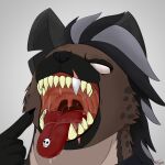  ambiguous_gender anthro big_teeth blind_eye bodily_fluids drooling estronate greying_hair hyaenid jacklyn_sheen mammal mature_anthro mouth_shot notched_ear open_mouth piercing saliva scar sharp_teeth solo spotted_hyena teeth tongue tongue_piercing 