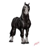  alpha_channel ambiguous_gender black_body black_hair black_hooves black_tail equid equine feral full-length_portrait hair hooves horse laser_(artist) leg_markings looking_at_viewer mammal markings mouth_closed muscular muscular_ambiguous muscular_feral portrait quadruped red_eyes signature simple_background socks_(marking) solo three-quarter_view transparent_background white_body 