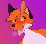  anthro canid canine fox furro male mammal owo suro suroowo uwu zorra zorro 