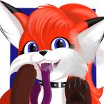  1:1 absurd_res anthro canid canine female fox fur hair hi_res icon mammal portrait shady_girl simple_background smile solo tongue tongue_out 