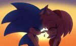  amy_rose anthro boop duo eulipotyphlan eyes_closed female hedgehog hyoumaru male male/female mammal musical_note nose_boop nose_to_nose romantic romantic_couple sega smile sonic_the_hedgehog sonic_the_hedgehog_(series) sunset 
