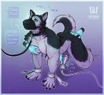 all_fours ambiguous_gender animal_genitalia animal_penis anthro bdsm black_body black_fur blue_background blue_eyes canid canine canine_genitalia canine_penis canis chest_grope clothing collar cuff_(restraint) disembodied_hand domestic_dog fur genitals gloves gradient_background grey_body grey_fur grope groping_chest group handwear hi_res husky interkos knot knotted_penis latex latex_clothing latex_gloves latex_handwear leash leashed_collar male male/ambiguous male_anthro mammal medical medical_gloves medical_play muzzle_(object) muzzled nordic_sled_dog nude_anthro nude_male overstimulation pec_grab pecs penile penis penis_milking penis_milking_machine petplay puppyplay purple_background restraints roleplay simple_background spitz submissive submissive_anthro submissive_male whining