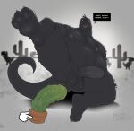  2022 3_toes anthro anthro_focus anthrofied balls barazoku barefoot belly big_balls big_belly big_dildo big_muscles big_penis black_body black_scales blep blush body_hair cactus chest_hair claws cursor dialogue digital_creature dildo dinosaur dinosaur_(google_chrome) dot_eyes english_text erection facial_hair feet feral flufflecraft foreskin genitals google google_chrome grey_background group hi_res humanoid_feet humanoid_genitalia humanoid_penis imminent_anal inviting looking_at_viewer male musclegut muscular muscular_anthro muscular_male navel nipples non-mammal_balls non-mammal_nipples nude outside overweight overweight_anthro overweight_male pecs penis plant plant_pot raised_leg reptile scales scalie sex_toy shadow signature simple_background sitting smile soles solo_focus square_crossover stubble talking_to_viewer text theropod thick_thighs toes tongue tongue_out tuft tyrannosaurid tyrannosaurus tyrannosaurus_rex vein 