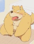  2022 absurd_res anthro belly blush canid canine canis countershading domestic_dog eyes_closed hi_res kemono kipchin_2nd00 male mammal navel overweight overweight_male solo tongue tongue_out young 