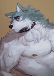  absurd_res anthro biceps blue_body blue_fur brand_new_animal canid canine canis clothed clothing collar collar_only dreff fur hi_res male mammal muscular muscular_anthro muscular_male nipples nude pecs shirou_ogami simple_background solo studio_trigger topless white_body white_fur wolf 