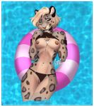 absurd_res anthro bikini bikini_bottom blonde_hair blue_eyes cloe_(frayfur) clothing clothing_aside collar fangs felid female frayfur fur genitals grey_body grey_fur hair hi_res jewelry leopard mammal markings navel necklace nipple_piercing nipples pantherine panties panties_aside piercing pink_nose pool pool_float pool_toy smile smiling_at_viewer smirk smirking_at_viewer solo spots spotted_markings swimwear teeth two-piece_swimsuit underwear underwear_aside vulva water