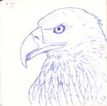  2022 accipitrid accipitriform ambiguous_gender avian beak bird blue_and_white detailed detailed_feathers eagle feathers feral headshot_portrait hi_res inktober_2022 looking_at_viewer monochrome number portrait simple_background sogaroth solo white_background 