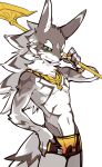  2022 4_fingers anthro black_nose brown_body brown_fur canid canine canis clothed clothing fingers fur gold_(metal) green_eyes hand_on_hip hi_res jackal jewelry lifewonders looking_at_viewer male mammal melee_weapon navel polearm seth_(tas) shoko_contane simple_background solo striped_body striped_fur stripes swimming_trunks swimwear tokyo_afterschool_summoners topless topless_anthro topless_male video_games weapon white_body white_fur 