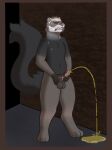 absurd_res animal_genitalia animal_penis anthro balls black_body black_fur bodily_fluids desperation digitigrade domestic_ferret facial_markings frenum_ladder frenum_piercing fur genital_fluids genital_piercing genitals grey_body grey_fur head_markings hi_res honeydew_wolf ladder_piercing male mammal markings mask_(marking) mustelid mustelid_penis musteline peeing peeing_on_ground peeing_while_erect penis penis_piercing piercing pink_nose pink_penis solo standing tail tan_body tan_fur true_musteline urine urine_on_ground watersports weasel white_body white_fur