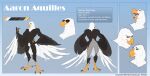  aaron_(war-bird) absurd_res accipitrid accipitriform anthro avian bald_eagle beak bird black_sclera eagle eyebrows feathers hi_res male model_sheet muscular muscular_male nude partial_nudity peritian sea_eagle solo tail_feathers talon_hands talons war-bird wings 