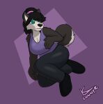  anthro big_breasts breasts canid canine canis cleavage clothed clothing domestic_dog female hi_res husky leggings legwear lonnyk mammal midair nordic_sled_dog pose shirt solo spitz tank_top topwear 