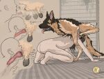  2025 4_toes 5_fingers absurd_res all_fours ambiguous_gender ambiguous_penetrated anatomically_correct anatomically_correct_genitalia anatomically_correct_penis animal_genitalia animal_penis ball balls bent_over bestiality black_balls blush bodily_fluids breath brown_body brown_fur brown_hair butt canid canine canine_genitalia canine_penis canis carpet claw_marks close-up cross-popping_vein cum cum_in_mouth cum_in_throat cum_inside cum_on_ground cumshot cumshot_in_mouth deep_throat digital_media_(artwork) directional_arrow domestic_dog dominant dominant_feral dominant_male door drinking drinking_cum dripping duo ejaculation erection exclamation_point eyes_closed face_fucking face_mounting fangs feet feral feral_penetrating feral_penetrating_human fingers fur genital_fluids genitals german_shepherd hair heart_symbol herding_dog hi_res hotdogmeat human human_on_feral human_penetrated humping inside internal internal_oral interspecies irrumatio knot knot_in_sheath knotted_penis knotting leaking_precum long_hair looking_pleasured male male/ambiguous male_penetrating male_penetrating_ambiguous mammal mating_grip motion_lines nipples nude on_one_leg one_leg_up open_mouth oral oral_knotting oral_penetration orange_eyes panting pastoral_dog penetration penile penis penis_in_mouth precum precum_squirt precum_string raised_leg realistic_feral saliva saliva_drip saliva_on_butt saliva_on_tongue saliva_string sequence sex shaking sheath side_view standing steam submissive submissive_ambiguous submissive_human swallowing tan_body tan_fur teeth tennis_ball text three-quarter_view thrusting toes tongue tongue_out toony translucent trembling tuft 