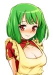  1girl apron blush breasts center_opening cleavage closed_mouth green_hair laco_soregashi long_hair looking_at_viewer macross macross_frontier ranka_lee red_eyes simple_background smile solo white_background 