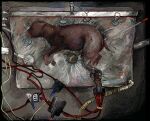 blood bodily_fluids canid canine detailed_background embryo feral hospital jeffusherb laboratory mammal solo