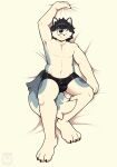  absurd_res anthro bed bed_sheet bedding bedding_background bulge canid canine clothed clothing farron fox furniture gumbahgoo hi_res looking_at_viewer lying lying_on_bed male mammal on_back on_bed raised_arm simple_background smile smiling_at_viewer solo underwear white_background 