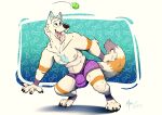  absurd_res animal_genitalia anthro ball bulge canid canine canine_genitalia clothed clothing dushka fetch fetching genitals hi_res male mammal marscanis mythological_canine mythological_creature mythology nipples solo tennis_ball topless topless_anthro topless_male underwear underwear_only werecanid werecanine werecreature werewolf 
