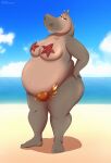  2022 5_toes anthro arthropod asterozoan beach belly big_belly big_breasts breasts common_hippopotamus crab crab_panties crustacean decapoda digital_media_(artwork) dreamworks echinoderm feet female gloria_the_hippopotamus grey_body grey_skin hi_res hippopotamid humanoid_feet humanoid_hands looking_at_viewer madagascar_(series) malacostracan mammal marine nude outside overweight overweight_anthro overweight_female sand sea seaside sky smile solo starfish starfish_(accessory) starfish_bra toes tommysamash water 