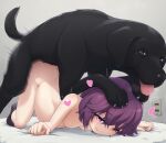  1girl akai_(riaakai) bangs bestiality big_belly commission dog happy_sex heart machikado_mazoku nipples nude pink_eyes pregnant purple_hair sex short_hair skeb_commission smile solo tail tongue tongue_out top-down_bottom-up yoshida_ryouko 