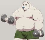  2022 absurd_res anthro belly big_belly bulge clothing exercise hi_res jumperbear kemono male mammal moobs navel nipples overweight overweight_male polar_bear simple_background solo underwear ursid ursine workout 