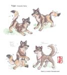 animal_genitalia balls balto balto_(series) canid canine canis domestic_dog duo fennec_(artist) genitals harness hi_res hybrid knot_in_sheath mammal model_sheet nordic_sled_dog painting_(artwork) sheath spitz togo_(character) universal_studios watercolor_(artwork) wolfdog