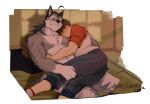  2boys abs ahoge animal_ears artist_name ayato_kamata bara biceps black_hair blue_pants blush cross_scar english_commentary furry furry_male futon highres hug looking_at_another male_focus morenatsu multiple_boys muscular muscular_male nipples nishimura_hiroyuki_(morenatsu) pants pectorals ponytail scar scar_across_eye scar_on_face scar_on_forehead shirt sitting smile tail ten_kodori topless_male twilight white_pants white_shirt wolf_boy wolf_ears wolf_tail yaoi 