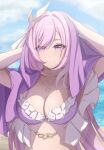  1girl arms_behind_head aruko bikini blue_sky breasts cleavage commentary_request diamond-shaped_pupils diamond_(shape) elysia_(herrscher_of_human:_ego)_(honkai_impact) elysia_(honkai_impact) elysia_(summer_2023)_(honkai_impact) hair_ornament heart heart_necklace highres honkai_(series) honkai_impact_3rd jewelry large_breasts long_hair looking_at_viewer necklace pink_hair purple_bikini purple_eyes sky smile solo swimsuit symbol-shaped_pupils very_long_hair 