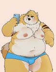  2022 absurd_res anthro belly big_belly blue_eyes blush bulge canid canine cellphone clothing hi_res humanoid_hands kemono male mammal moobs navel nipples overweight overweight_male phone qqmelon888 simple_background smartphone solo underwear 