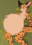  animated anthro belly big_belly cheetah felid feline male mammal mrevy organs short_playtime solo stomach struggling tongue vore 