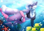2021 absurd_res ambient_coral ambient_fish ambient_jellyfish ambient_sealife ambient_starfish anthro arm_markings big_breasts bikini black_bikini black_clothing black_swimwear blue_eyes breasts bubble canid canine cleavage clothed clothed_anthro clothed_female clothing countershading dipstick_tail female fox fur hair heterochromia hi_res leg_markings light light_beam mammal markings pink_body pink_eyes pink_fur pupils slit_pupils solo sunbeam sunlight swimming swimwear tail tail_markings two-piece_swimsuit underwater water white_body white_countershading white_fur white_hair yoko_(yoko_darkpaw) yoko_darkpaw