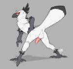  anthro anus avian backsack balls beak bent_over bird bird_feet butt erection feathers genitals grey_background hand_on_hip male penis presenting presenting_hindquarters scuted_arms scutes simple_background sodacaps solo tail_feathers white_body white_feathers 
