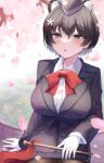  1girl :o absurdres animal_ear_fluff animal_ears arm_at_side black_hair black_hat black_jacket black_pantyhose black_skirt black_suit blue_archive blush bow bowtie breasts cherry_blossoms collared_shirt commentary_request cowboy_shot day dress_shirt extra_ears falling_petals garrison_cap gloves grey_eyes hair_between_eyes hat highres jacket large_breasts long_sleeves miniskirt oiru_(613) open_mouth outdoors pantyhose partial_commentary pencil_skirt petals raccoon_ears raccoon_girl red_bow red_bowtie shirt short_hair sitting skirt solo spring_(season) suit suit_jacket tsubaki_(blue_archive) tsubaki_(guide)_(blue_archive) white_gloves white_shirt 