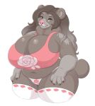  2022 anthro big_breasts breasts clothing colored digital_media_(artwork) female hair half-length_portrait hi_res huge_breasts legwear long_hair looking_at_viewer mammal monotone_background neck_tuft overweight overweight_anthro overweight_female panties pink_nose portrait shaded shirt short_stack short_tail simple_background smile solo tank_top thigh_highs topwear tuft underwear ursid vixentine white_background yellow_eyes 