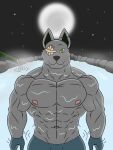  abs anthro bamboo bandage canid canine hi_res hot_spring hung(racingtime244) light male mammal moon moonlight muscular muscular_anthro muscular_male night nude pecs racingtime244 rock smoke solo star underwater water 