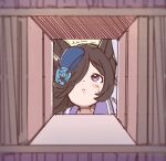  1girl :< animal_ears blue_flower blue_hat blue_rose blush_stickers book bookshelf bookshelf_pov brown_hair closed_mouth commentary_request flower hair_over_one_eye hat hat_flower highres horse_ears indoors long_hair pov purple_eyes purple_shirt rakugakiraid rice_shower_(umamusume) rose school_uniform shirt small_sweatdrop solo sweat tilted_headwear tracen_school_uniform trembling umamusume 