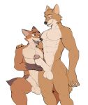  abs anthro balls big_penis canid canine duo erection fox fur genitals handjob hi_res holding_penis jrjresq looking_at_another male male/male mammal muscular muscular_anthro muscular_male nude open_mouth pecs penile penis sex simple_background smile unfinished white_background 