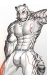  1boy abs animal_ears arknights aruhaisui bara bulge closed_mouth commentary cross_scar english_commentary furry furry_male highres looking_at_viewer male_focus male_underwear mountain_(arknights) multiple_scars muscular muscular_male navel nipples pectorals scar scar_across_eye scar_on_arm scar_on_cheek scar_on_chest scar_on_face scar_on_stomach scar_on_thigh tail tiger_boy tiger_ears tiger_stripes tiger_tail topless_male underwear white_male_underwear 
