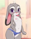  2022 4_fingers anthro areola artist_name black_body black_fur blush breasts clothed clothing digital_media_(artwork) disney eyebrows female fingers fur grey_body grey_fur hi_res judy_hopps kionant lagomorph leporid long_ears looking_at_viewer mammal multicolored_body multicolored_fur navel nipples panties pink_nose portrait purple_eyes rabbit small_breasts solo standing thick_thighs three-quarter_portrait topless underwear white_body white_fur wide_hips zootopia 