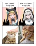  2girls absurdres animal_ear_headwear black_veil blue_archive blue_eyes blush cat cat_girl coif crossed_bangs flower grey_hair hair_between_eyes hair_ornament halo hat hat_flower highres long_hair mari_(blue_archive) multiple_girls nun nun_headdress open_mouth orange_hair petting photo_inset purple_eyes sakurako_(blue_archive) smile tangsuyook trinity_general_school_logo veil white_flower yellow_halo 