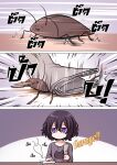  1girl black_hair bug cockroach death glasses grey_shirt highres hitting levana_violette_(lusan666) long_sleeves lusan666 newspaper original purple_eyes shirt short_hair thai_commentary thai_text towel translation_request wiping 