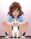  1girl animal black_skirt blue_panties brown_eyes brown_hair cast cat closed_mouth commentary crotch_seam hibike!_euphonium highres holding holding_animal indoors medium_hair miniskirt oumae_kumiko panties pantyshot pleated_skirt sbel02 shirt skirt smile socks solo squatting t-shirt underwear untranslatable_commentary white_shirt white_socks wooden_floor 