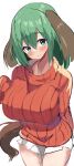  1girl alternate_costume animal_ears bangs breasts closed_mouth cowboy_shot dog_ears dog_tail green_eyes green_hair highres huge_breasts kasodani_kyouko looking_at_viewer medium_hair miniskirt red_sweater ribbed_sweater short_hair simple_background skirt solo standing suzunooto_shirasu sweater tail touhou white_background white_skirt 