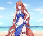  1girl animal_ear_fluff animal_ears aqua_bikini beach belt bikini blue_bikini blue_sarong blue_sky breasts brown_hair cloud cloudy_sky collarbone commentary cowboy_shot day english_commentary flower hair_between_eyes hair_flower hair_ornament hand_up long_hair long_sidelocks looking_at_viewer medium_breasts multicolored_bikini navel ocean official_alternate_costume outdoors pink_flower raccoon_ears raccoon_girl raccoon_tail raphtalia red_eyes sarong sidelocks skindentation sky solo standing stomach straight-on straight_hair swimsuit tail talnory tanuki tate_no_yuusha_no_nariagari thigh_belt thigh_strap two-tone_bikini 