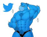  2022 abs absurd_res anthro anthrofied armpit_hair avian barazoku beak biceps big_muscles bird blue_body blue_feathers body_hair bulge chest_hair clothing eyebrows feathers hi_res logo male mascot meme muscular muscular_anthro muscular_male navel obliques pecs pubes simple_background smile solo standing taffyfever thong tuft tweetfur twitter twitter_bird underwear white_background 