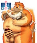  2022 absurd_res anthro balls belly big_belly big_dick_day blush canid canine canis censored clothed clothing clothing_lift domestic_dog erection genitals hi_res humanoid_genitalia humanoid_hands humanoid_penis kemono kumajjjj male mammal moobs navel nipples overweight overweight_male penis shirt shirt_lift solo topwear 