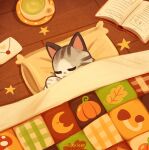  artist_name blanket book cat closed_eyes coffee_mug commentary cup grey_cat highres kaaileen letter mug no_humans open_book original pillow quilt sleeping solo star_(symbol) untranslatable_commentary wooden_floor 