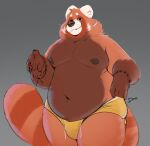  2022 absurd_res ailurid anthro areola belly bracelet brown_areola brown_body brown_fur brown_nipples bulge cheek_tuft clothed clothing cute_fangs detailed_bulge facial_tuft fluffy fluffy_tail fur hi_res inner_ear_fluff jewelry male mammal minedoo moobs narrowed_eyes navel neck_tuft nipples orange_body orange_fur overweight portrait red_panda simple_background smile solo standing thick_thighs three-quarter_portrait tight_clothing tuft underwear underwear_only whiskers white_body white_fur yellow_clothing yellow_underwear 