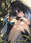  1girl absurdres bird black_hair blue_eyes blue_hair blurry blurry_background closed_mouth colored_inner_hair dated hair_ornament highres jacket knees_to_chest long_sleeves looking_at_animal mole mole_under_eye multicolored_hair sitting solo tacet_mark_(wuthering_waves) white_jacket wuji_dun_guiyuan wuthering_waves yangyang_(wuthering_waves) yangyang_(xuanling)_(wuthering_waves) 