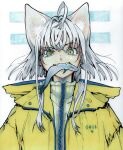  1girl absurdres ahoge animal_ear_fluff animal_ears blue_eyes blue_trim cat_ears cat_girl commentary_request crossed_bangs eudetenis fangs fish fish_in_mouth green_eyes highres hood hood_down hooded_jacket huge_ahoge jacket long_sidelocks looking_at_viewer medium_hair multicolored_eyes original portrait sidelocks smirk solo traditional_media upper_body white_background white_hair yellow_eyes yellow_jacket zipper 