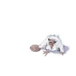  absurdres animal animal_focus anobaith baby_animal bird chick coin highres no_humans open_mouth original photo-referenced pygmy_falcon white_background white_bird 